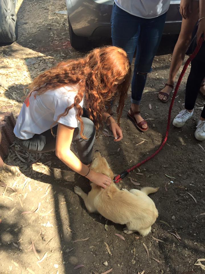 לא קונים אהבה. מאמצים! (צילום: פייסבוק)
